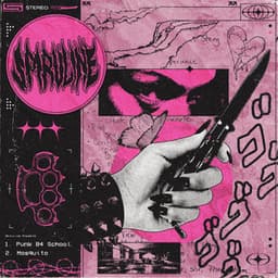 PUNK B4 SCHOOL/MOSQUITO