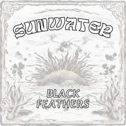Black Feathers