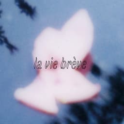 La vie brève