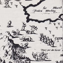 Which Direction Goes The Beam