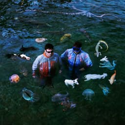 WE ARE ALL SMALL & STUPID