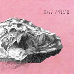 Bear's Brain