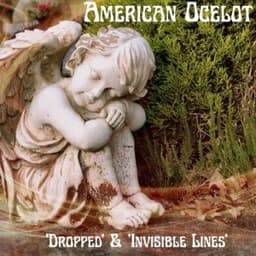 Dropped - American Ocelot