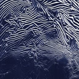 Il pleut - Mangoustine