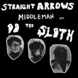 Do The Sloth - Straight Arrows