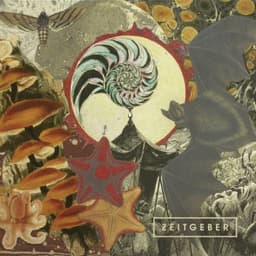 Zugunruhe - unrest - Zeitgeber