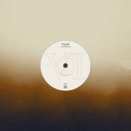 guitar meditations (VI) - Vraell