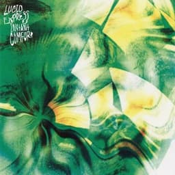 Dark Glass - Lucid Express