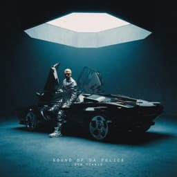 Sound of da Police - Don Diablo