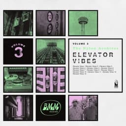 Elevator Vibes 5 - The Brothers Nylon