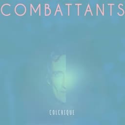 Les Oiseaux - Combattants