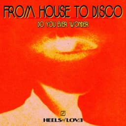 Do You Ever Wonder - From House To Disco