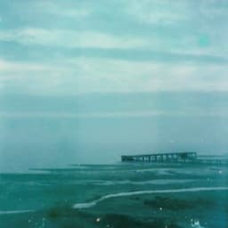 Paranoid Polaroid - The Volume Settings Folder