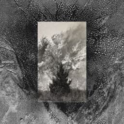 Mue - Superpoze
