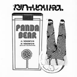 Venom's In - demo - Panda Bear & Cass McCombs