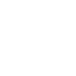 Adam - Instrumental - Pale Grey & Gilles Dewalque Maxime Lhussier Simon Fontaine Janjannes Montens