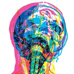 Dodecahedron - Mandy, Indiana